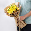 Buy Mellow Yellow