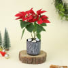 Gift Merry Red Poinsettia with Planter