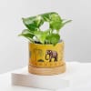 Money Plant Wishes Online