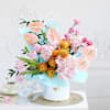 Morning Melody Online