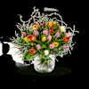 Multi Tulipa Online