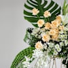 Shop Opulence in White