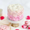 Buy Pastel Perfection