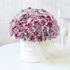 Pick Me Up Flower Box Online