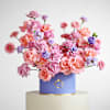 Gift Plum Melody