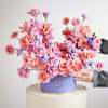 Buy Plum Melody