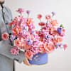Shop Plum Melody