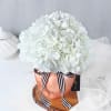 Gift Pristine Beauty Flower Vase