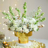 Gift Pristine Purity