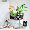 Prosperity Duet Online