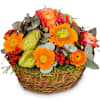 Pure Spring Online