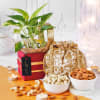 Buy Radiant Basket Gift Hamper