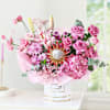 Regal Blossom Online