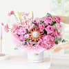 Buy Regal Blossom Reverie Symphony In Pink