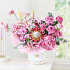 Regal Blossom Reverie Symphony In Pink Online