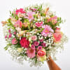 Rosalie Online