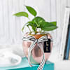 Gift Rose Gold Good Luck Pot