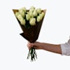 Roses White 15, 242619 Online