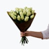 Roses White 20  242620 Online
