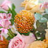 Buy Serene Elegance Garden