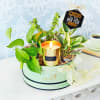 Gift Shades of Green New Year Hamper