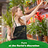 Single Plant Online