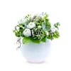 SNOW-WHITE ELEGANCE Online