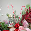 Shop Snowflake Serenade