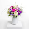 Sparkling Joy Online