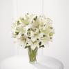 Spirited Grace Lily Online