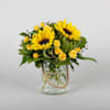 Spring Sunflowers Online
