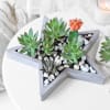 Star Crossed Succulents Online