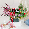 Buy Sugarplum & Spice