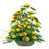 Summer gift Online