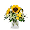 Summerdream Online
