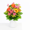 Sunny Birthday Greetings Online