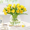 Sunshine Sonata Online