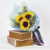 Sunshine Surprise Online