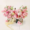 Sweet Caroline Online