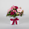 Sweet Pink Delight Online