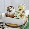 Shop Sweet Sentiments