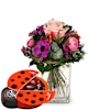 Sweet Surprise with Munz chocolate ladybird Online