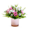 TENDER AND ROMANTIC Online