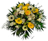 Tenderness Online