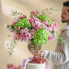 Gift The Evergreen Blush