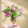 Buy The Evergreen Blush