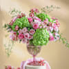 The Evergreen Blush Online