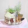 Gift The Little Herb Garden