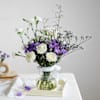 Buy The Violet Letter