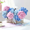 Gift Tranquil Blooms Basket With Tiramisu Cake